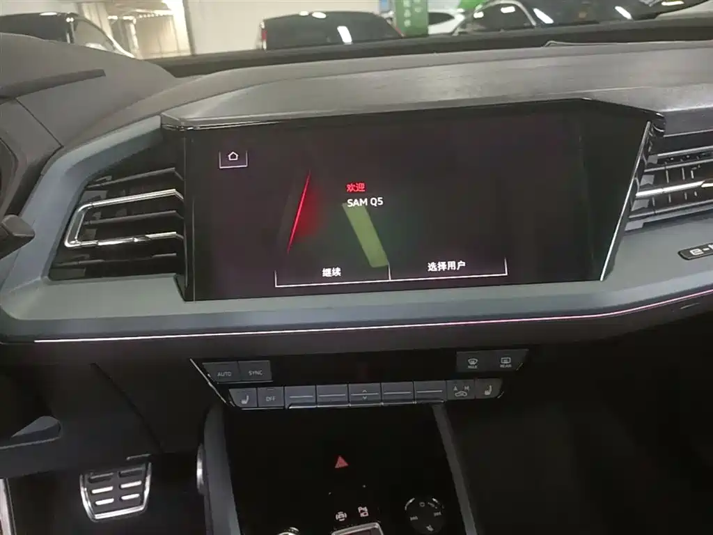 Audi Q5 e-tron 2023 40 e-tron Starlight Edition Brocade Package фото 13