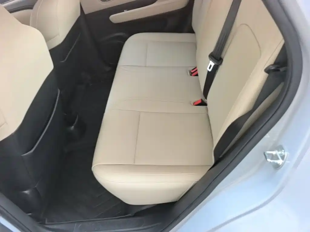Wuling Motors Wuling Binguo PLUS 2025 2024 Model 330km 5-Seater