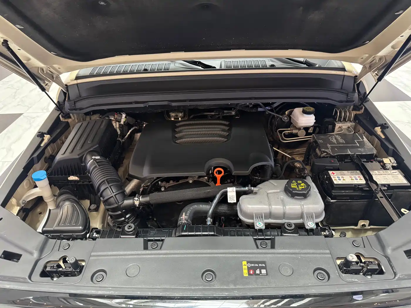 Tank 300 2025 2.0T Challenger фото 23