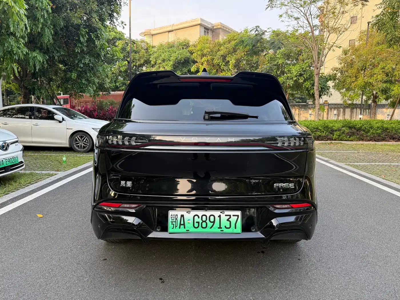 Voyah Auto VOYAH FREE 2025 318 318km RWD Touring Edition фото 4