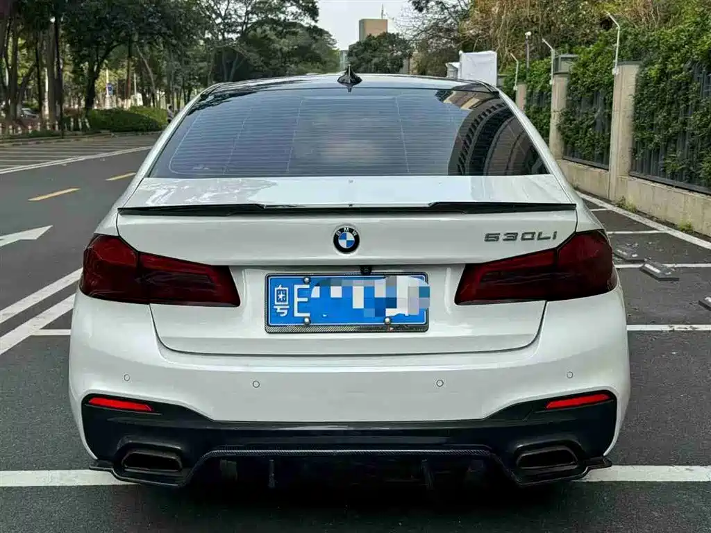 BMW 5 Series 2018 530Li Leading M Sport Package фото 5