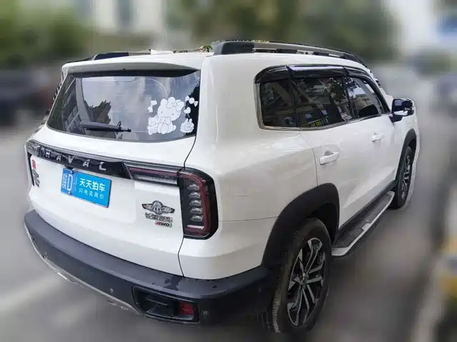 Haval Big Dog 2022 1.5T DCT FWD Malinois Edition — фото 2