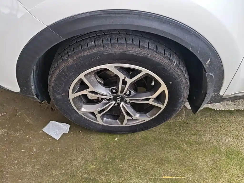 Kia KX5 2019 2019 1.6T Automatic 2WD Luxury Edition