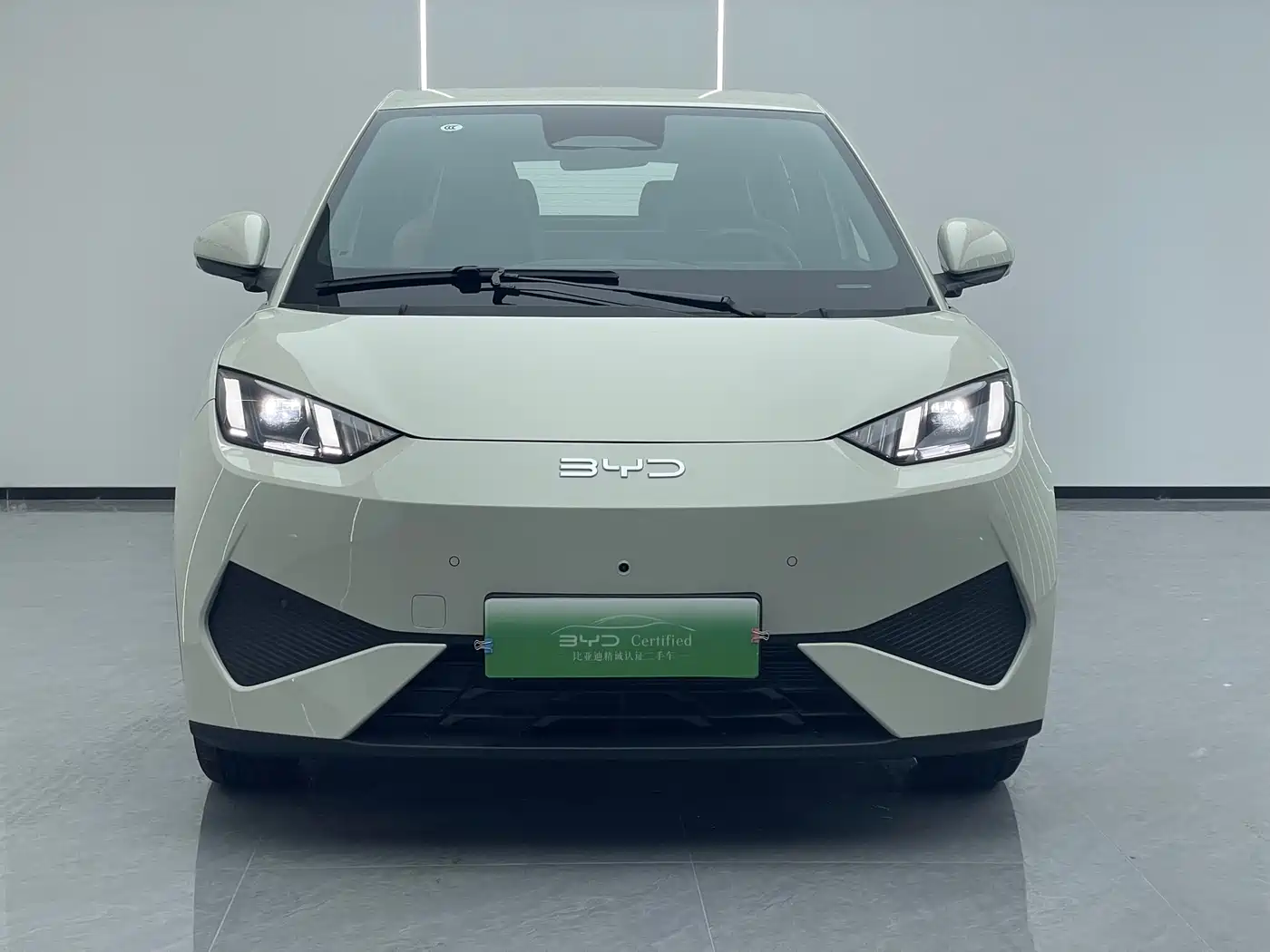 BYD Seagull 2025 Smart Drive Edition 305km Freedom Version фото 2