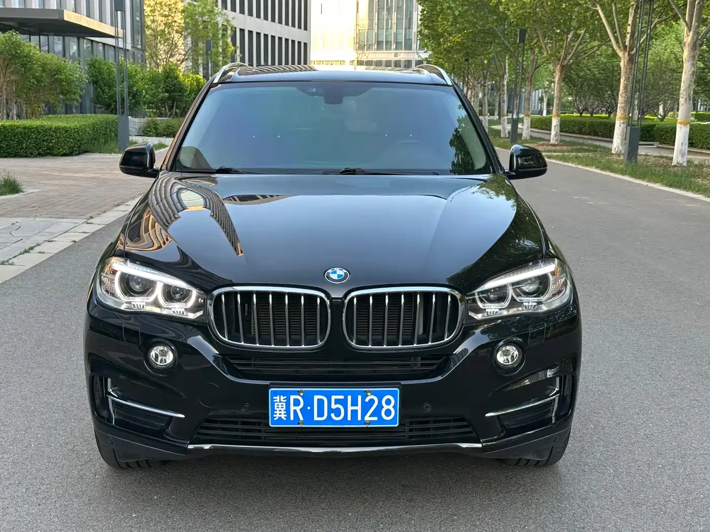 BMW X5 (Import) 2017 xDrive35i Elegance фото 2