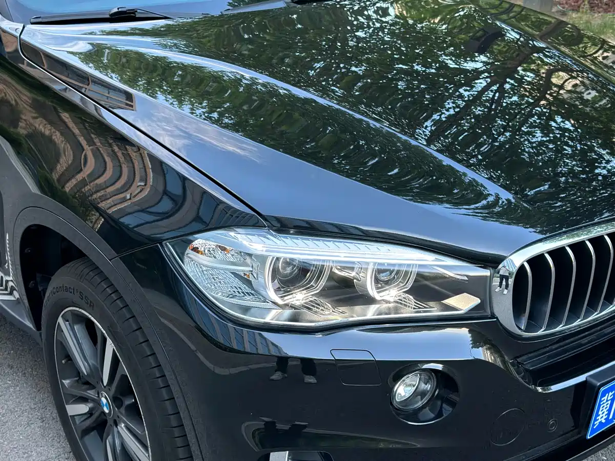 BMW X5 (Import) 2017 xDrive35i Elegance фото 23