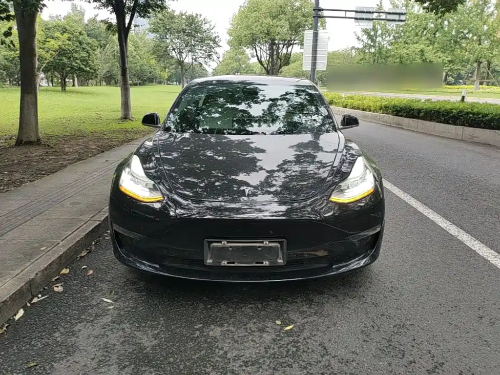 Tesla Model 3 (Import) 2019 2019 Long Range RWD Version