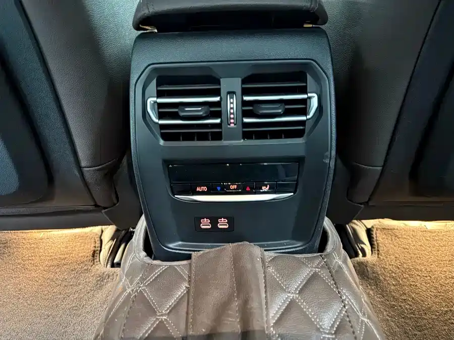 BMW 3 Series 2020 320Li M Sport Package фото 10