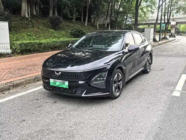Wuling Motors Wuling Xingguang 2024