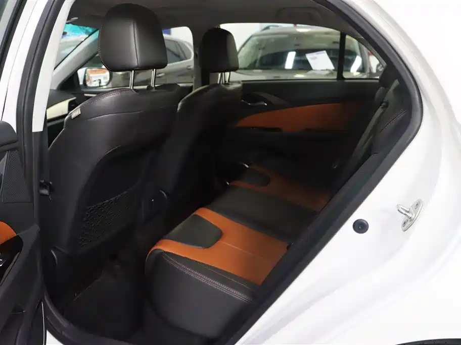 BYD Qin New Energy 2016 Qin EV300 Honor фото 5