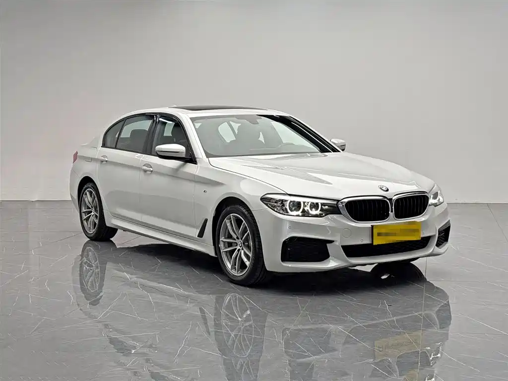 BMW 5 Series 2019 Facelift 525Li M Sport Package фото 8