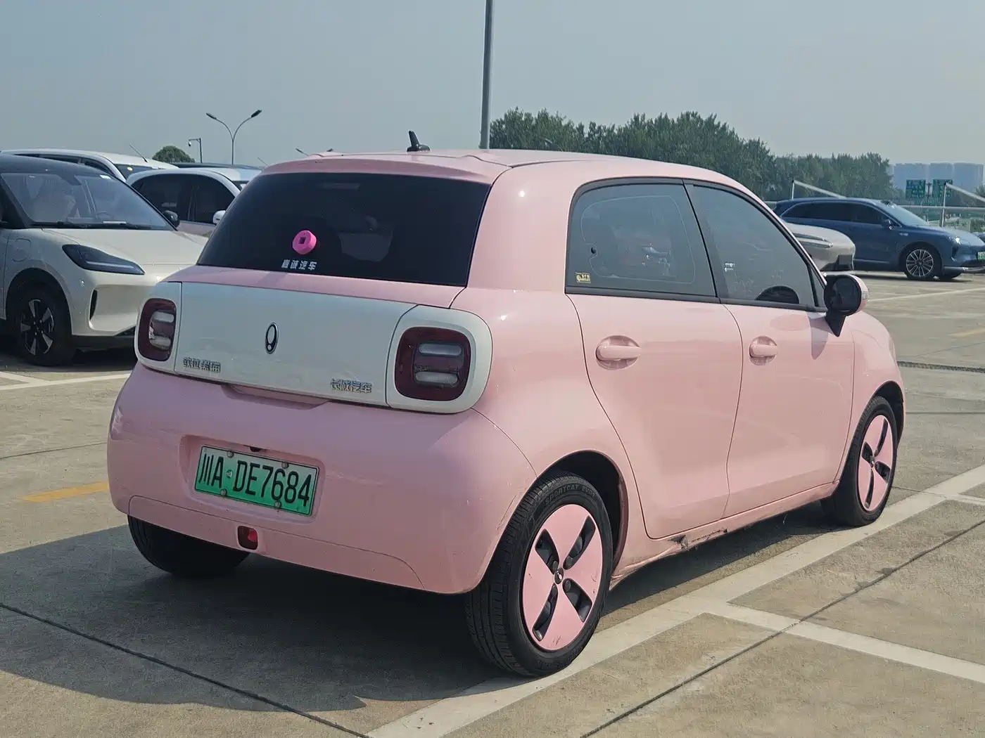 Ora Black Cat 2021 2021 301km Pet Edition