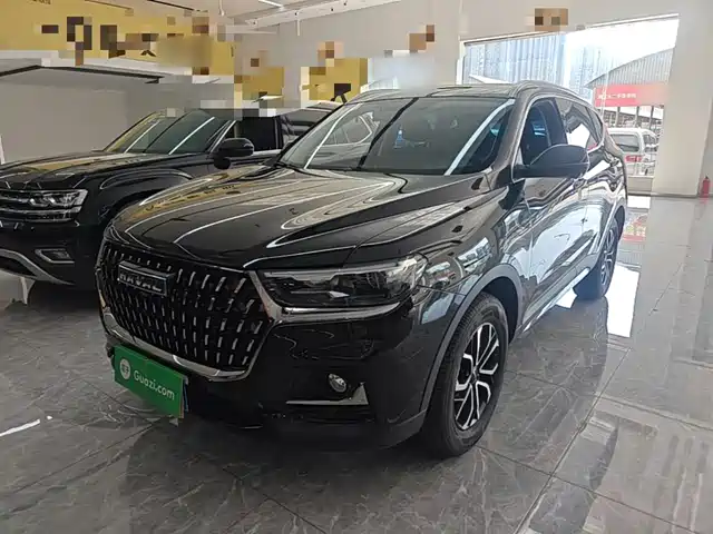  Haval Haval H6 2023 National Trend Edition 1.5T Automatic Urban