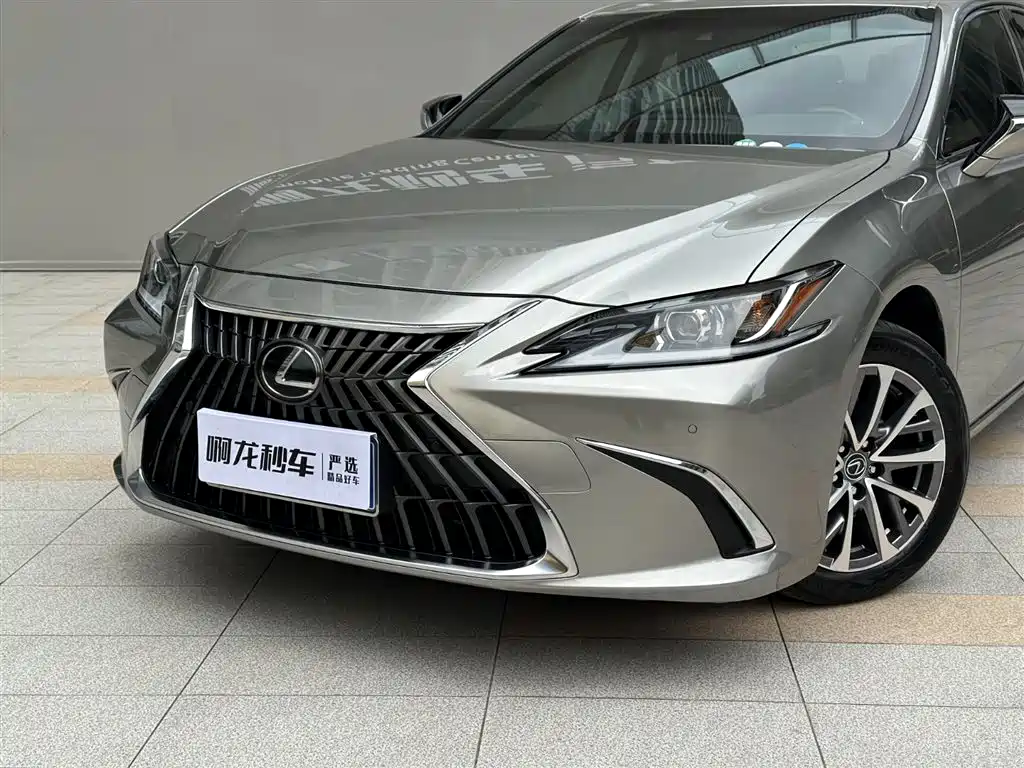 Lexus ES 2021 200 Excellence Edition фото 16