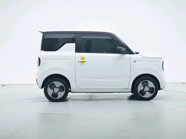 Фото 2 - Geely Galaxy Panda