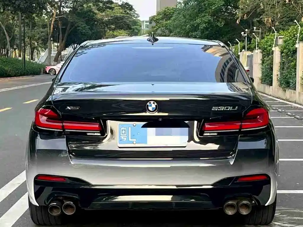 BMW 5 Series 2020 530Li Leading M Sport Package фото 5