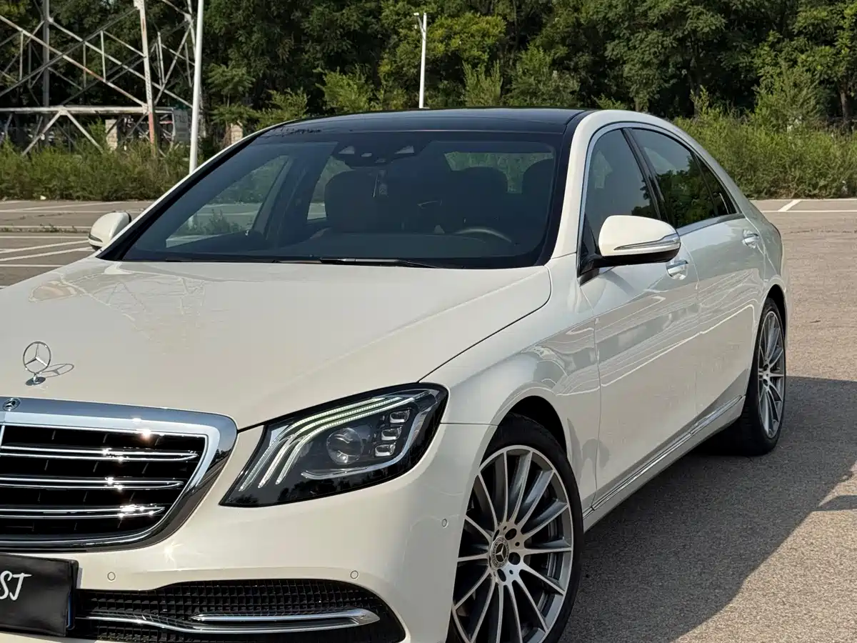 Mercedes-Benz S-Class 2018 S 320 L фото 8