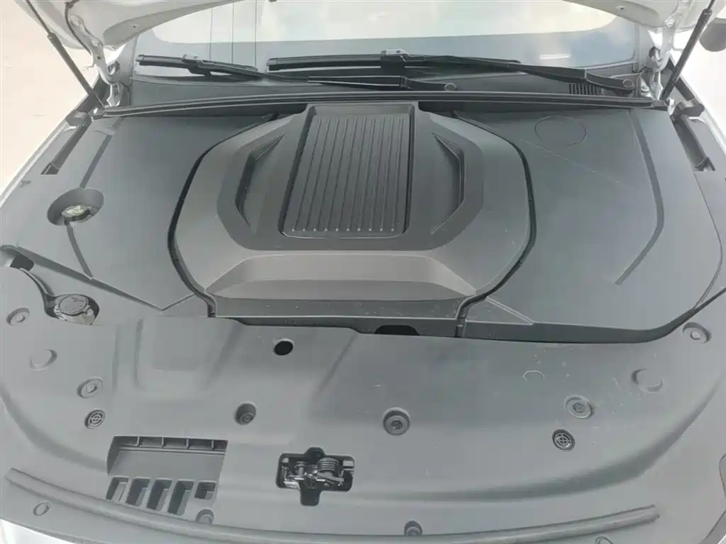 BYD Qin PLUS 2021 EV 500KM Premium Model фото 20