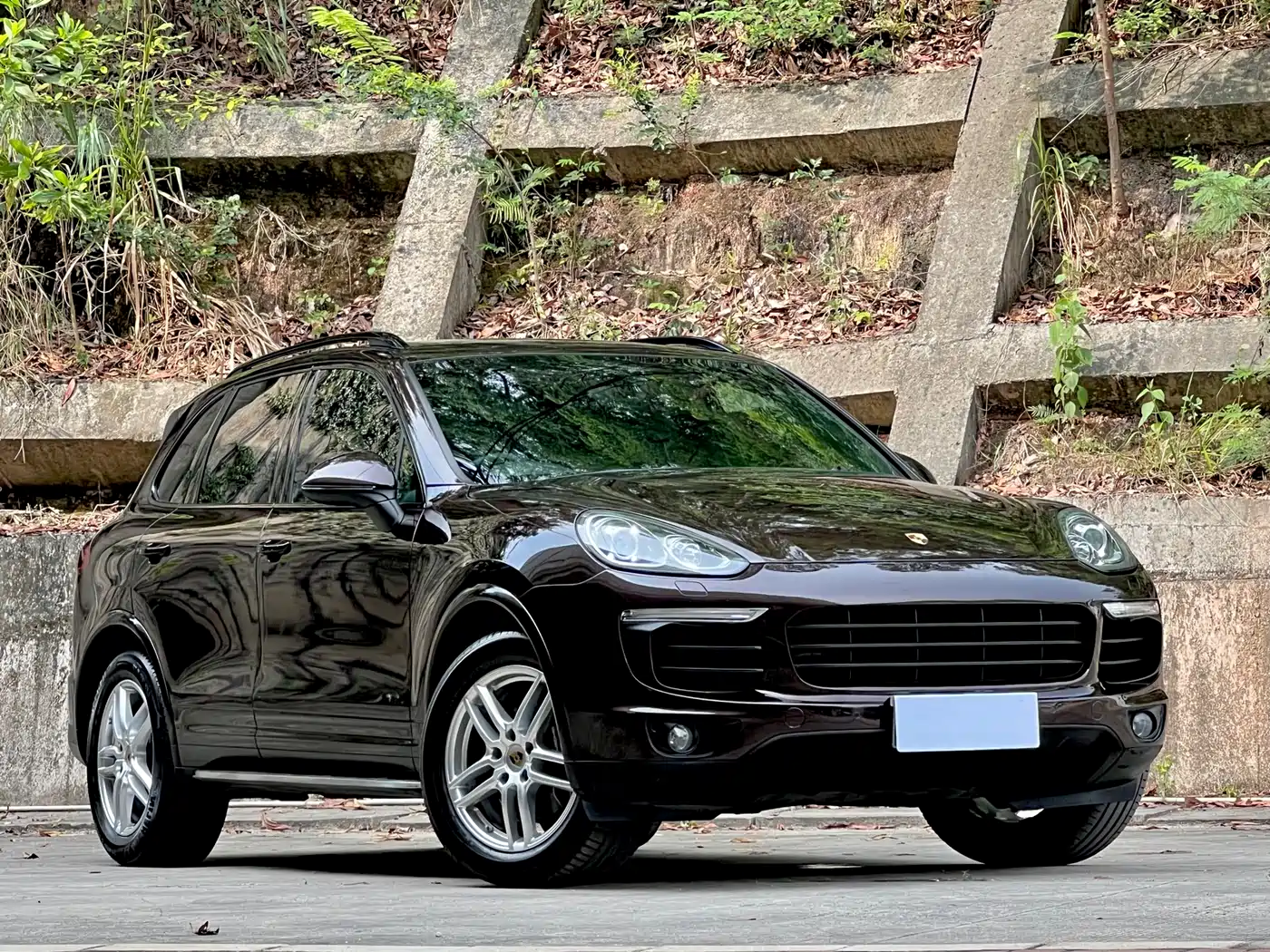 Porsche Cayenne 2016 Cayenne Platinum Edition 3.0T фото 3