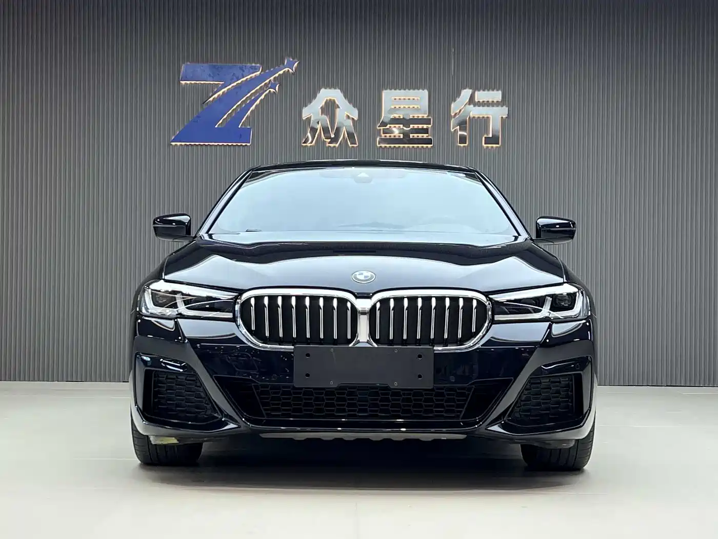 BMW 5 SERIES NEW ENERGY