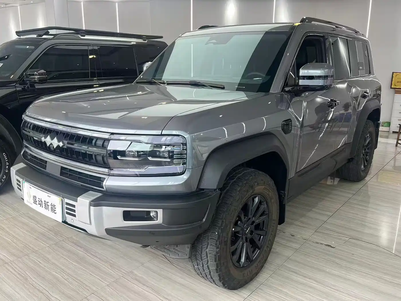 FANG CHENG BAO LEOPARD 5