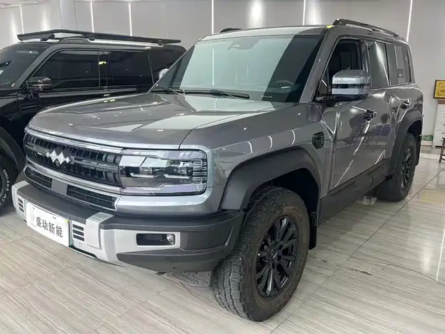 fang-cheng-bao leopard-5