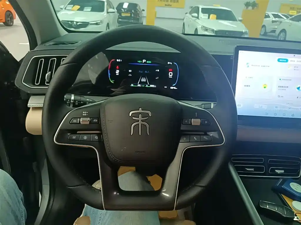 BYD Song Pro New Energy 2025 2nd Gen DM-i 75KM Surpass фото 11