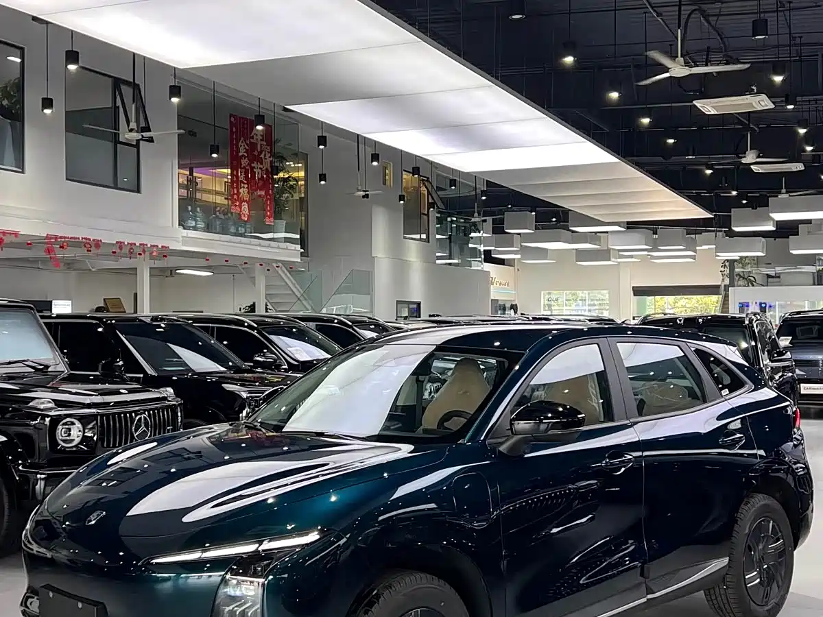 Dongfeng Fengxing Starry Sea T5 2026 2026 Model 530km Premium Edition
