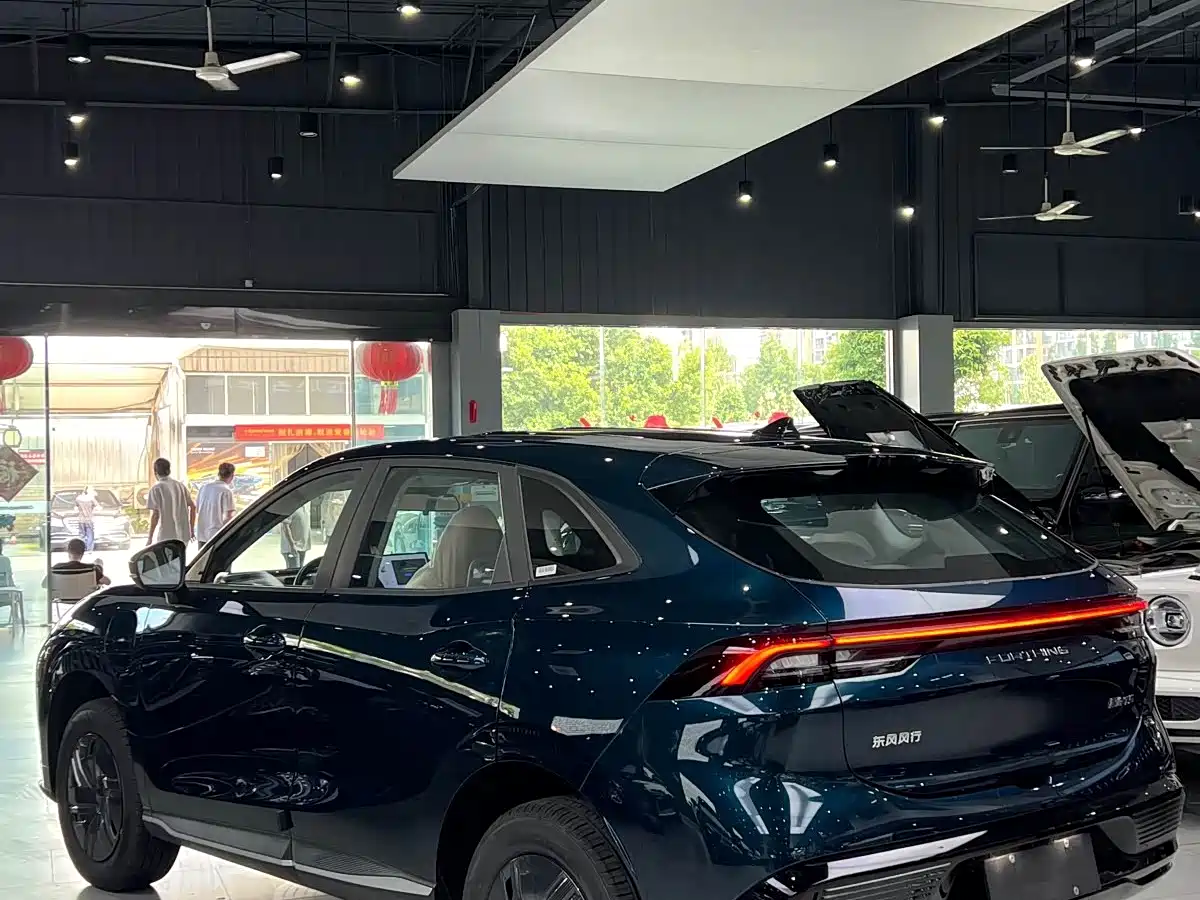 Dongfeng Fengxing Starry Sea T5 2026 2026 Model 530km Premium Edition