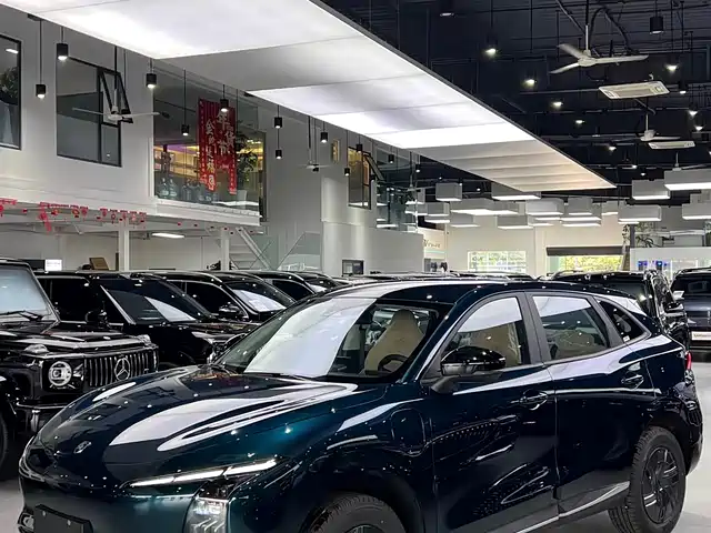  Dongfeng Fengxing Starry Sea T5 2026 Model 530km Premium Edition