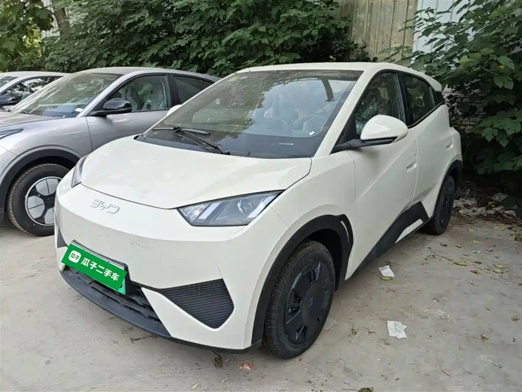 BYD Seagull 2025 Smart Drive Edition 305km Vitality Version фото 2