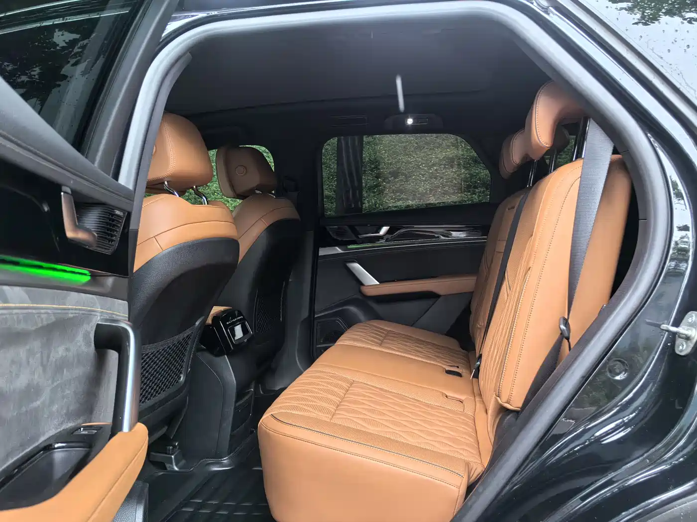 BYD Tang New Energy 2022 DM-p 215KM AWD Executive фото 8