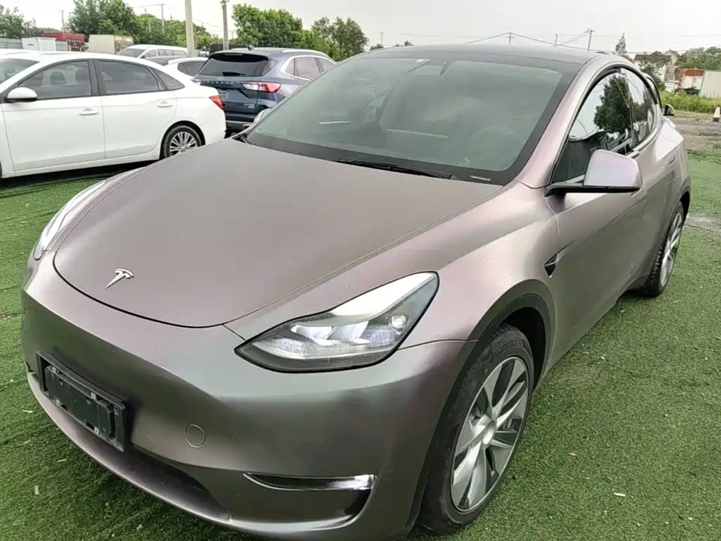 Tesla Model Y 2021 2021 Standard Range Rear-Wheel Drive
