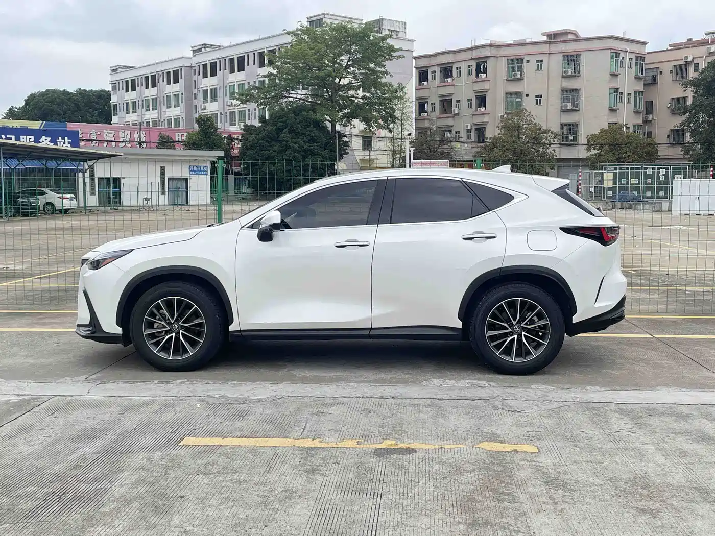 Lexus NX 2024 260 FWD Innovation Edition фото 5