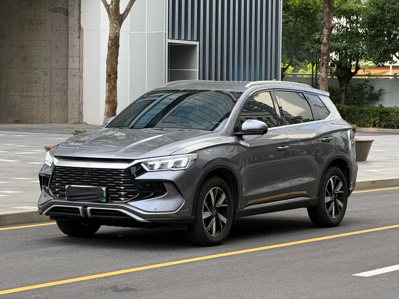 BYD Song Pro New Energy 2024 Glory Edition DM-i 71KM Pilot
