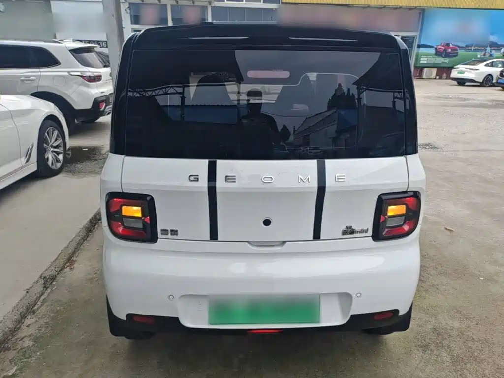 Geely Galaxy Panda 2025 2025 Panda mini 210km Vitality Bear