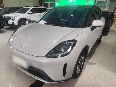 Wuling Bingo S