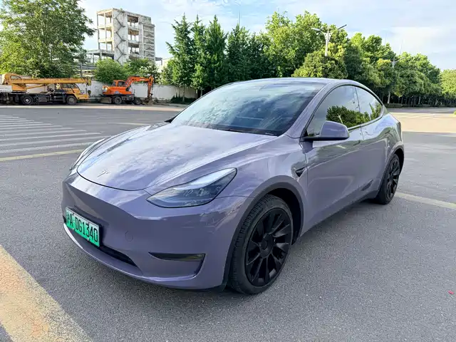 Tesla Model Y 2021 Standard Range Rear-Wheel Drive