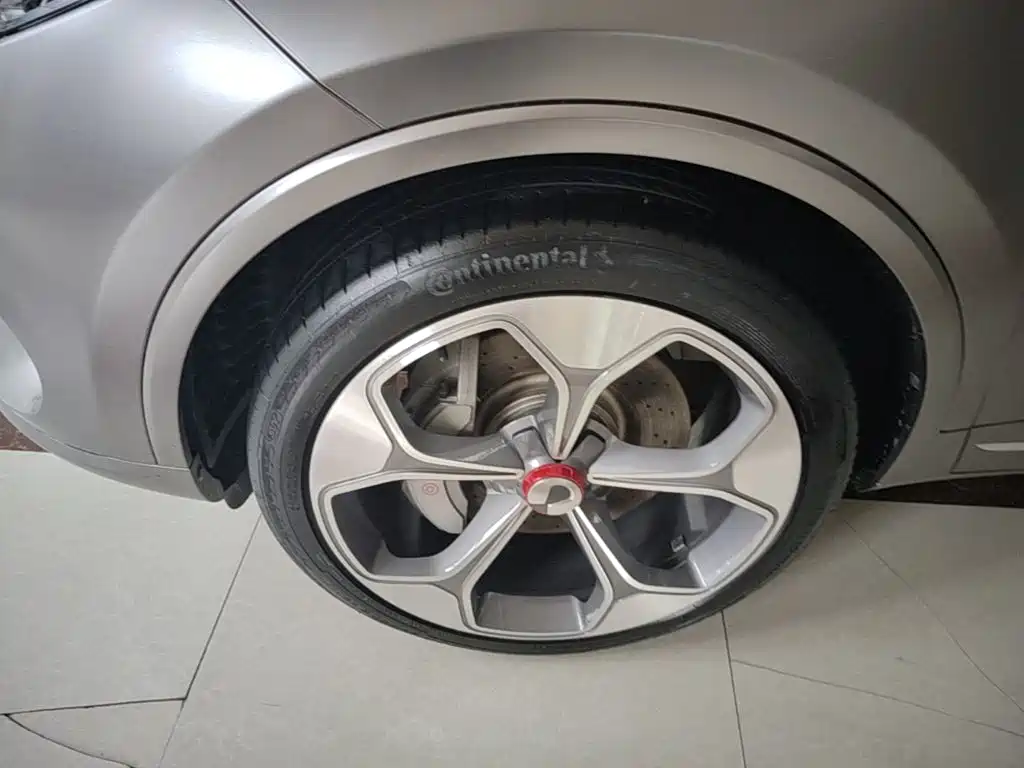 Denza X 2020 2020 Model PHEV Flagship Edition