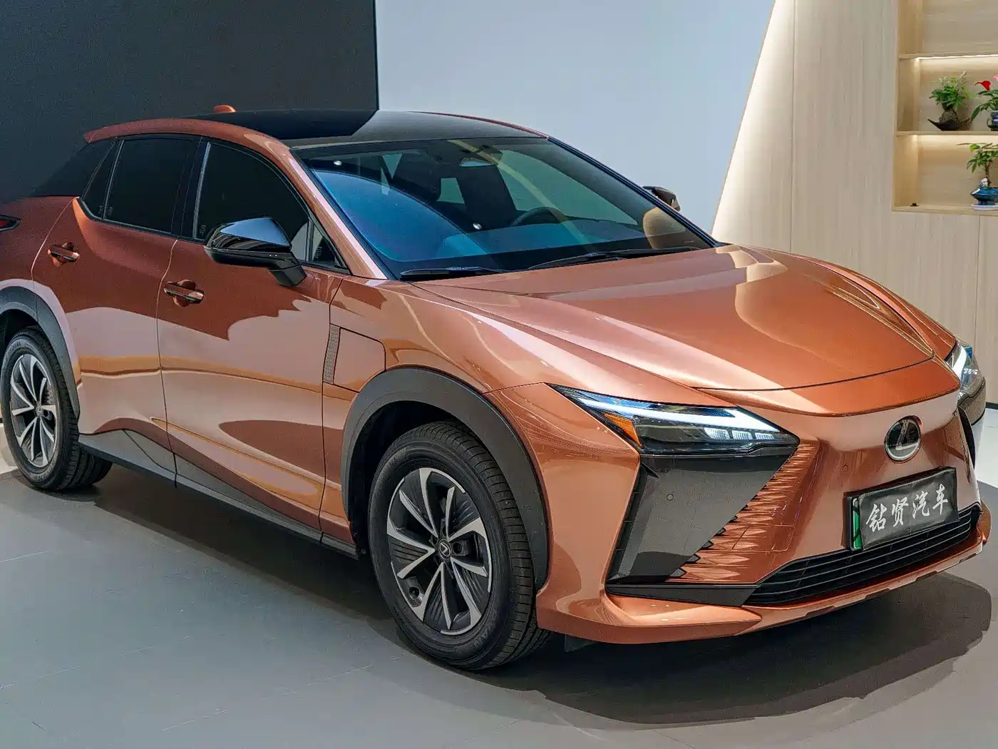 Lexus RZ 2023 450e 4WD Deluxe фото 3