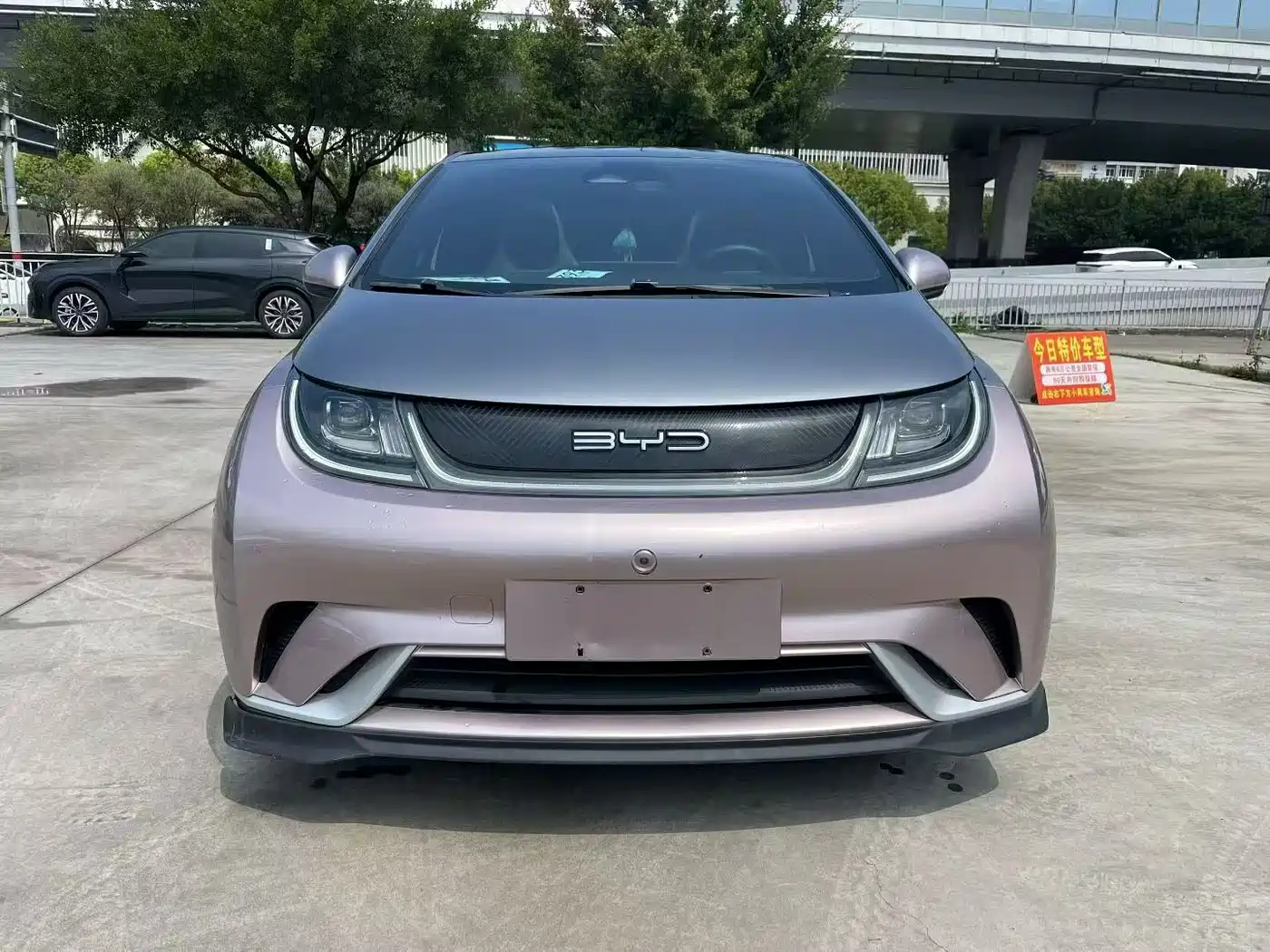 BYD Dolphin 2021 401km Knight Edition