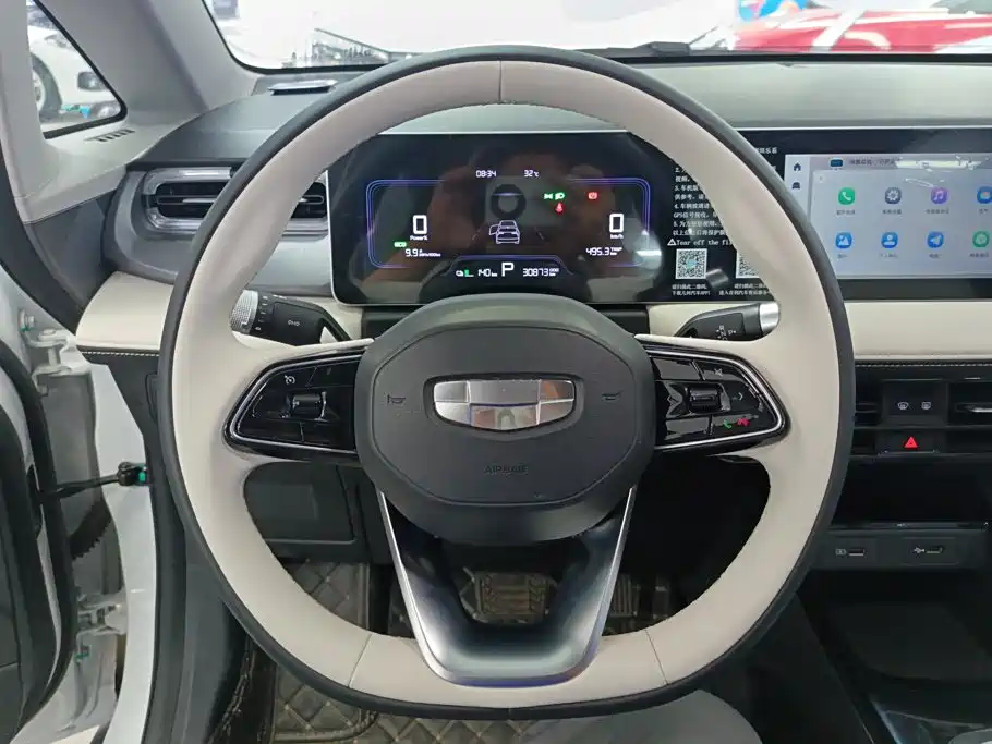 Geely Geometry E Firefly 2023 2024 Model 401km Fluorescent
