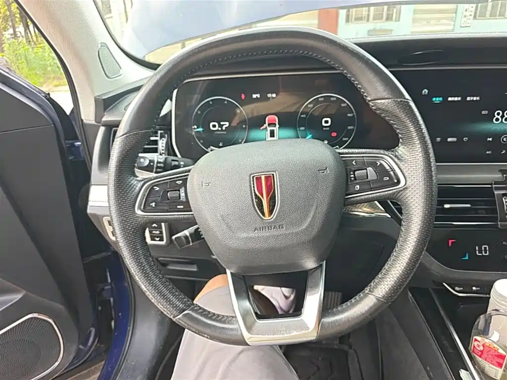 Hongqi HS5 2019 2.0T Smart Connect Enjoy 4WD Edition фото 11