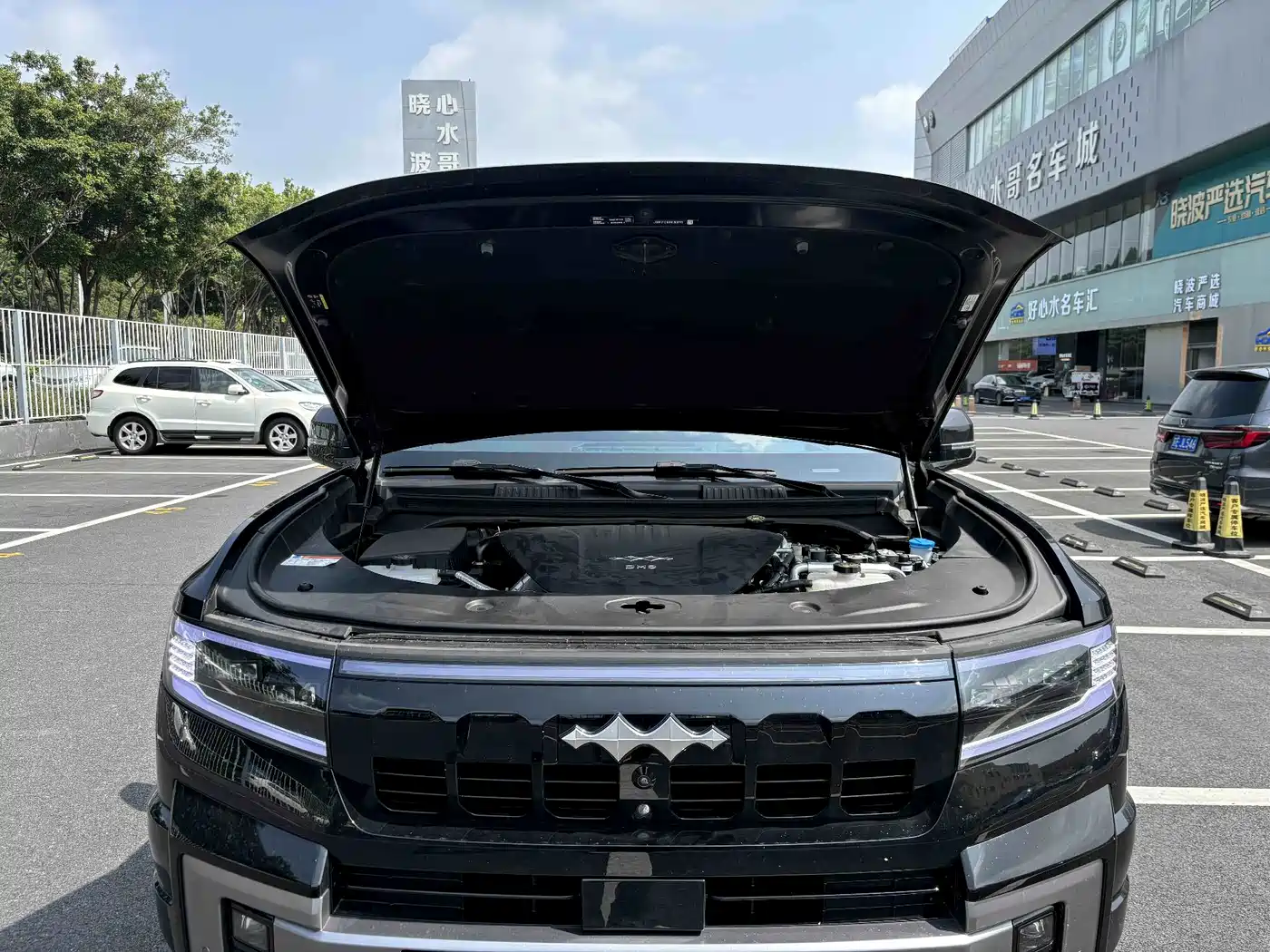 Fang Cheng Bao Leopard 8 2025 2025 Zhiyong Flagship 7-Seater