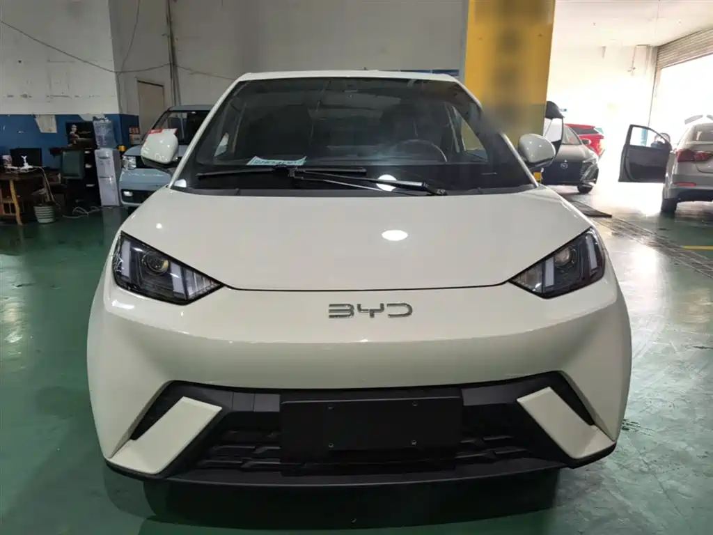BYD Seagull 2025 305km Vitality фото 3
