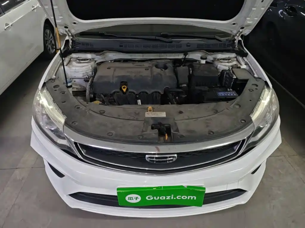 Фото 20 - Geely Vision