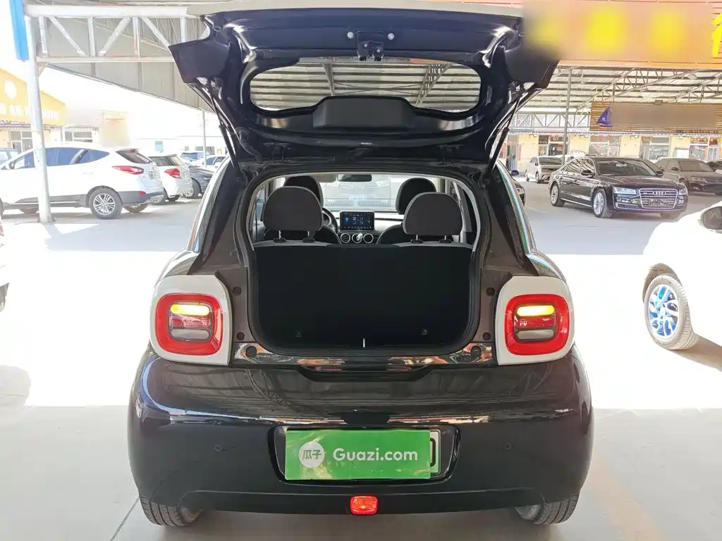 Ora Black Cat 2021 2021 301km Pet Edition