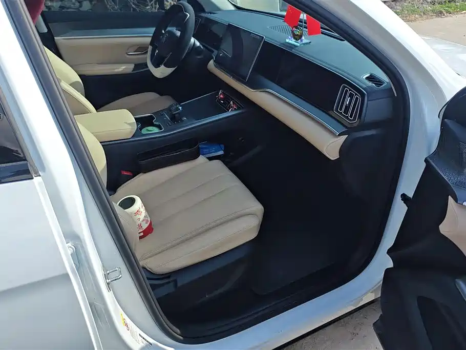 BYD Song Pro New Energy 2025 2nd Gen DM-i 75KM Surpass фото 8