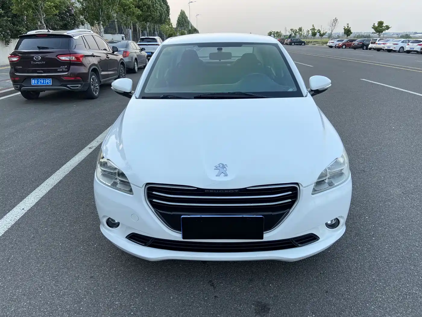Peugeot 301 2014 1.6L Manual Comfort Edition фото 2