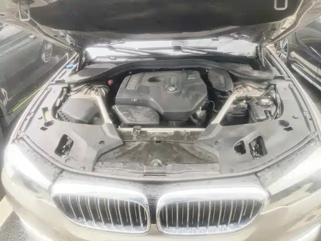 BMW 5 Series 2018 525Li Luxury Package — фото 3